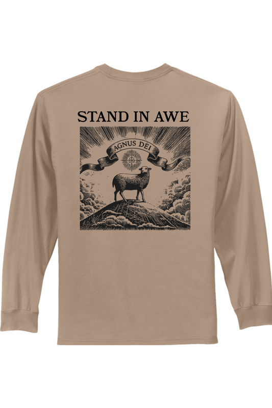 Stand in Awe Tee