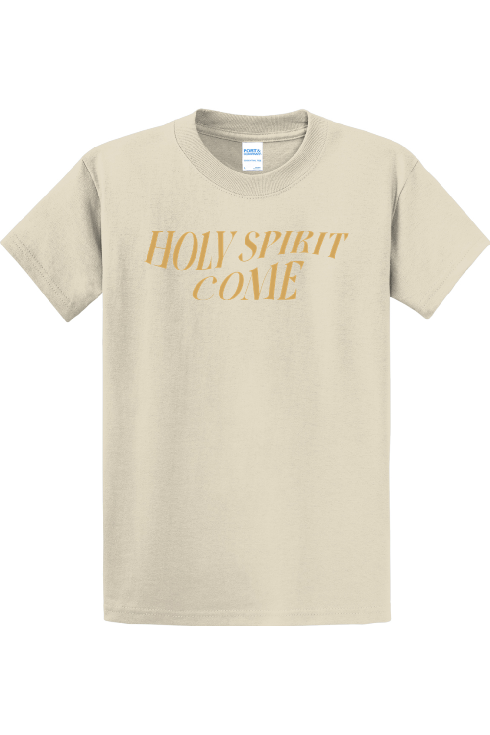 Holy Spirit Come Tee